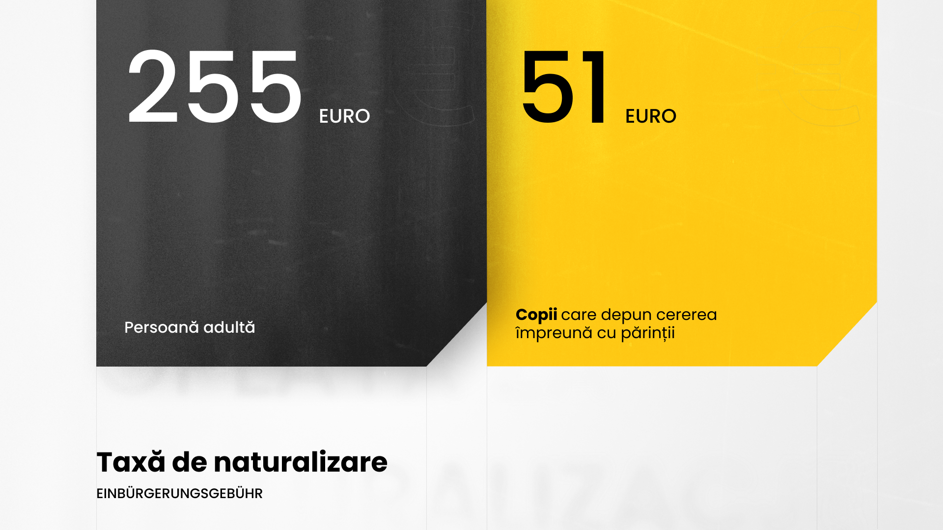 Cum să obții cetățenia germană? Ghid pas cu pas 3 Infografic care prezintă valoarea taxei pentru obținerea cetățeniei germane