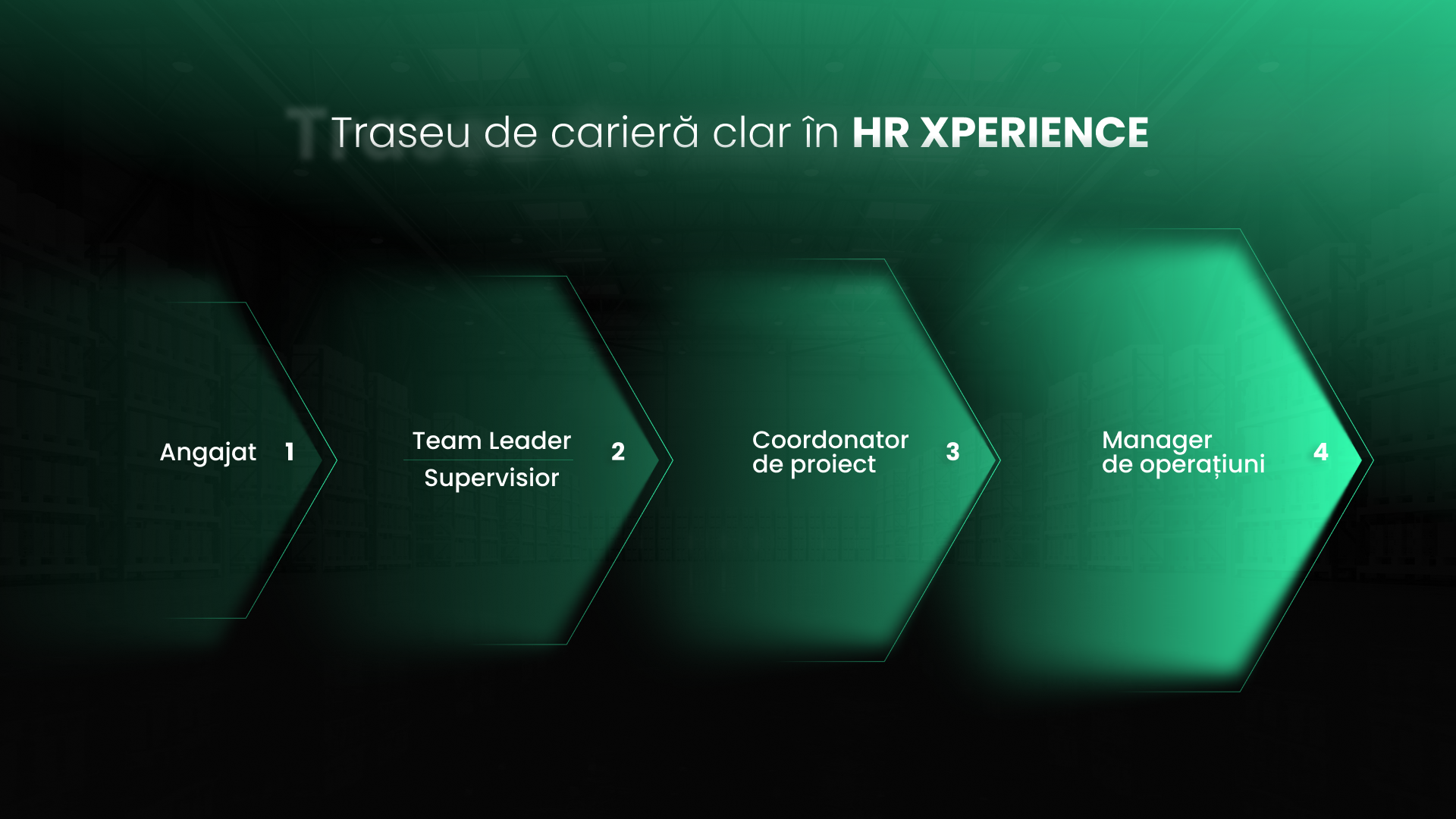 Infografic care prezintă evoluția în carieră în cadrul HR XPERIENCE – de la lucrător în depozit până la manager operațional în Germania